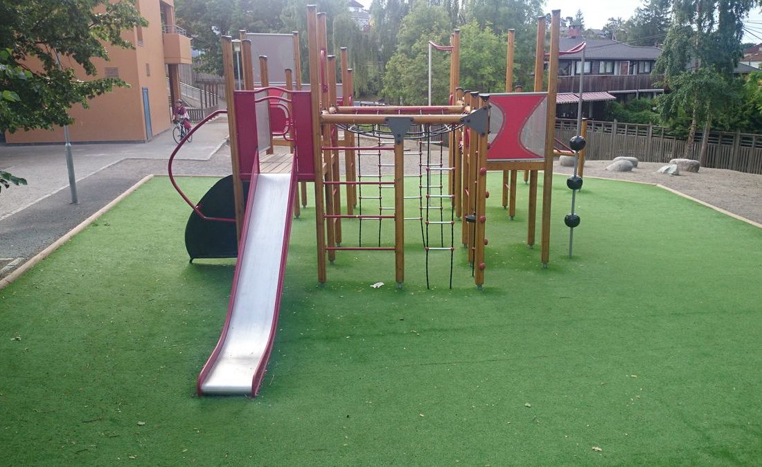 Disen skole